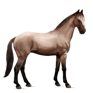 cheval de selle hunter irlandais alezan brûlé crins lavés