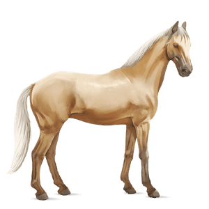 cheval de selle lusitanien alezan