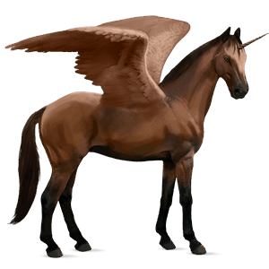 licorne de selle ailée oldenbourg bai
