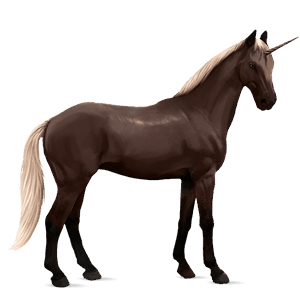 licorne de selle trakehner alezan brûlé crins lavés