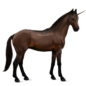 licorne de selle trakehner bai brûlé