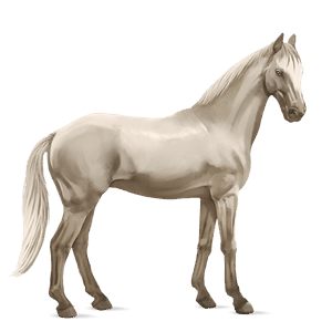 cheval de selle trakehner bai cerise