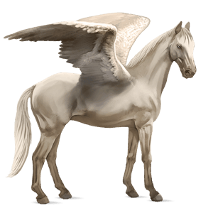 pégase de selle trakehner cremello