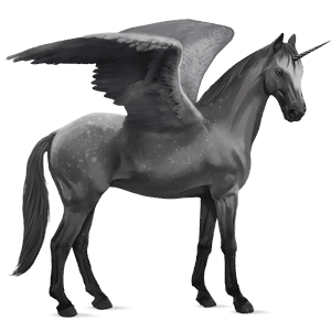 licorne de selle ailée morgan gris pommelé