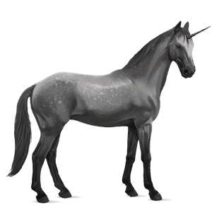 licorne de selle holstein gris pommelé