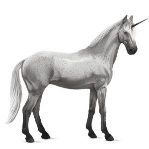 licorne de selle trakehner bai