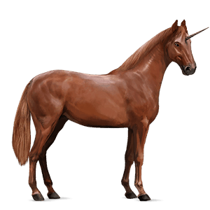 licorne de selle hunter irlandais alezan