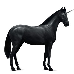 licorne de selle trakehner noir