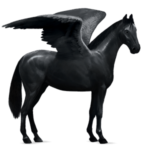 pégase de selle holstein noir