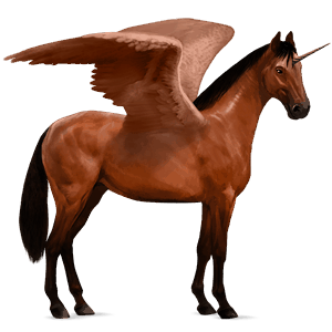 licorne de selle ailée hanovrien bai cerise