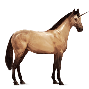 licorne de selle arabe noir