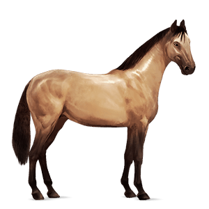 cheval de selle tinker pie tobiano bai cerise