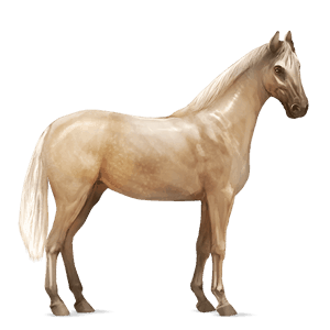 cheval de selle donskaya bai