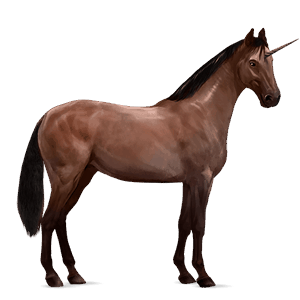 licorne de selle pure race espagnole bai