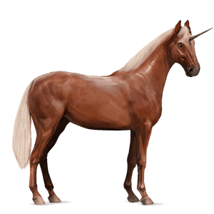 licorne de selle hunter irlandais alezan crins lavés