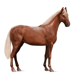 cheval de selle palomino palomino