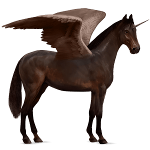 licorne de selle ailée hunter irlandais bai brûlé