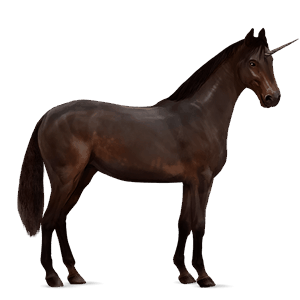 licorne de selle kwpn bai brûlé