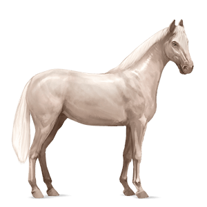 cheval de selle hunter irlandais cremello