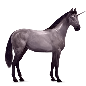 licorne de selle kwpn gris souris