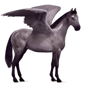 pégase de selle trakehner gris souris