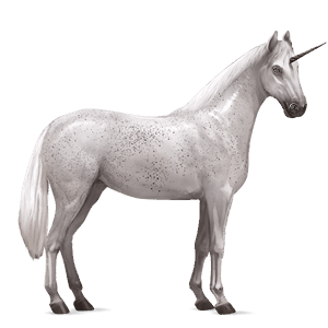 licorne de selle hunter irlandais gris truité