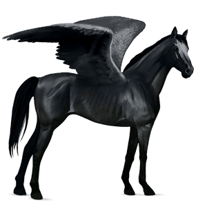 pégase de selle arabe gris souris