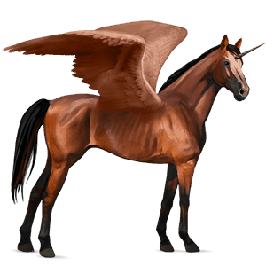 licorne de selle ailée anglo-arabe bai cerise