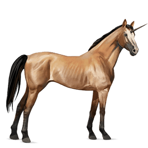 licorne de selle lipizzan noir