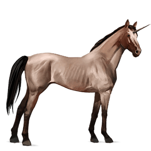 licorne de selle selle français bai