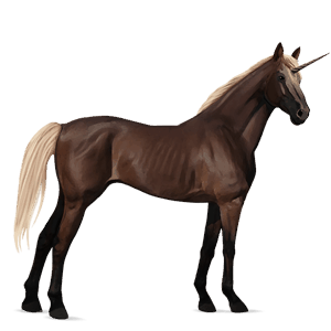 licorne de selle pur-sang anglais bai