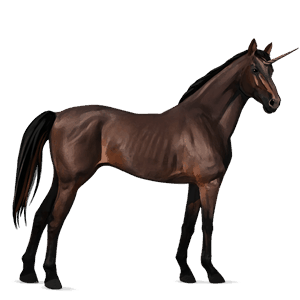 licorne de selle pur-sang anglais bai brûlé
