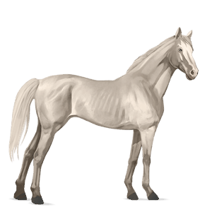 cheval de selle arabe alezan crins lavés
