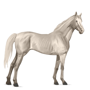 cheval de selle pur-sang anglais palomino