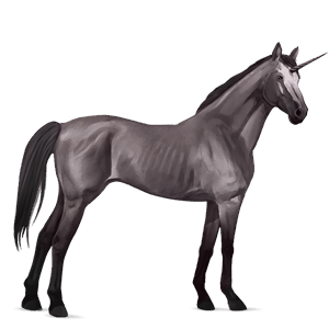 licorne de selle arabe gris souris