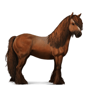 cheval de selle tinker alezan