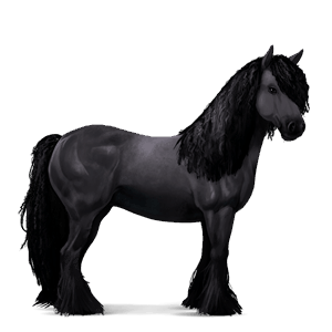 cheval de selle pure race espagnole gris pommelé