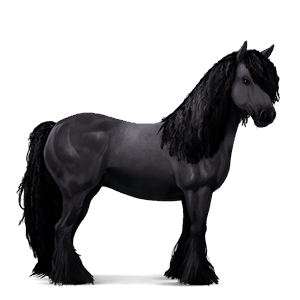 cheval de selle frison noir