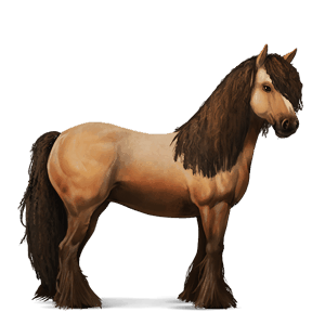 cheval de selle tinker alezan