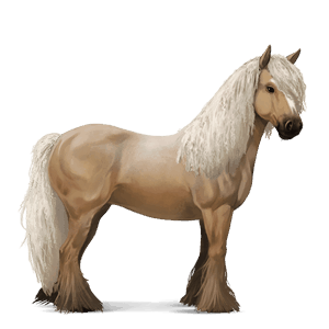 cheval de selle tinker palomino