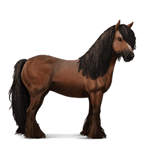 cheval de selle pure race espagnole cremello