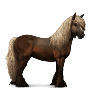 cheval de selle tinker alezan brûlé crins lavés