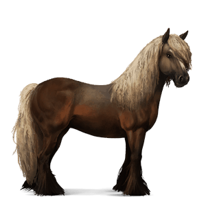 cheval de selle akhal-téké alezan
