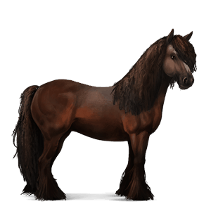 cheval de selle tinker pie tobiano alezan brûlé