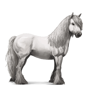 cheval de selle arabe gris clair