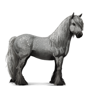 cheval de selle selle français gris pommelé
