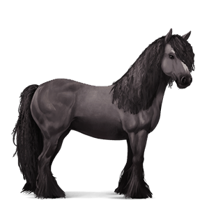 cheval de selle tinker gris souris
