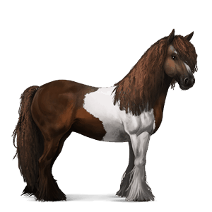 cheval de selle nokota pie alezan overo