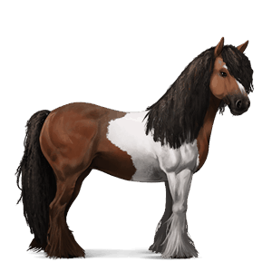 cheval de selle tinker pie tobiano bai