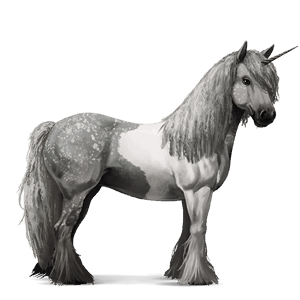 licorne de selle tinker pie tobiano gris pommelé